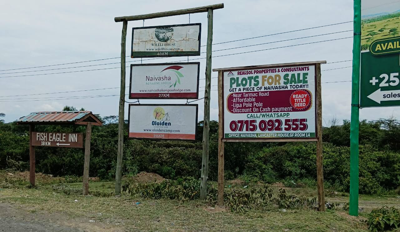 Realso Property