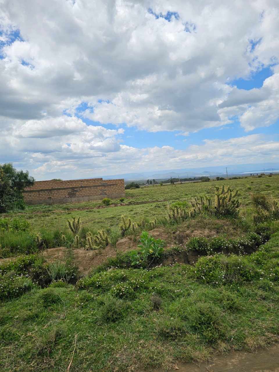 Lake Naivasha View