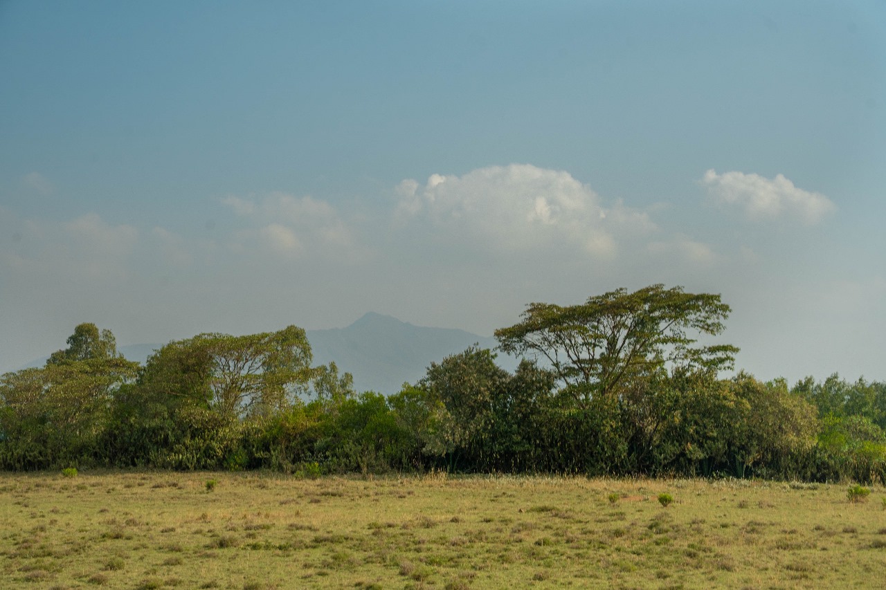 Realsol Property image