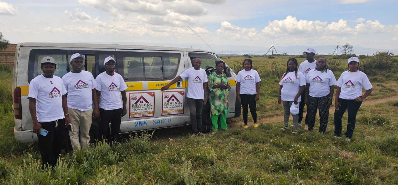 Realsol properties team