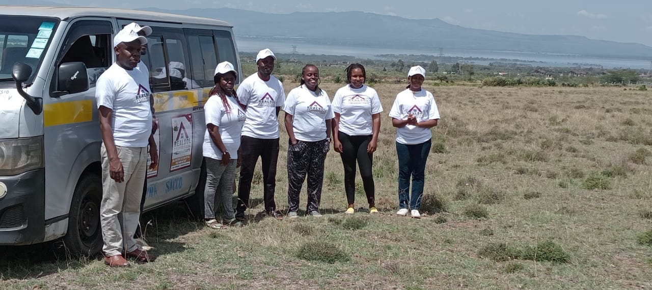 Realsol properties team
